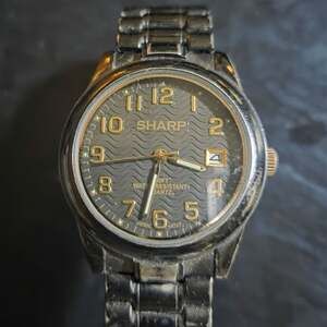 Sharp Quartz Water Resistant Analog Watch with Date